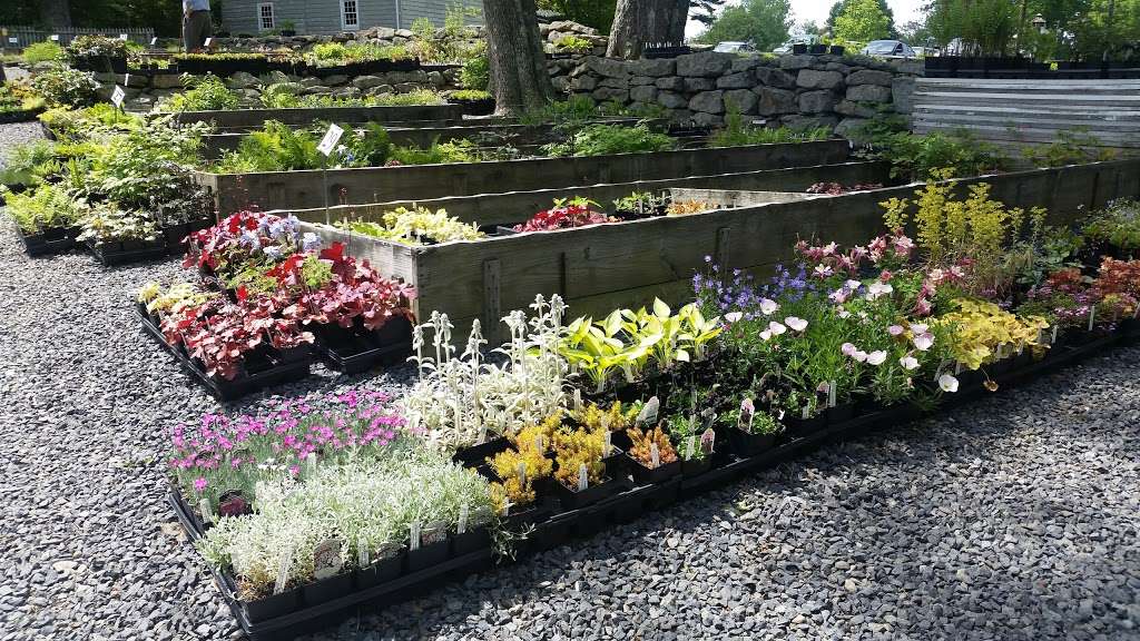 Well-Sweep Herb Farm | 205 Mt Bethel Rd, Port Murray, NJ 07865 | Phone: (908) 852-5390