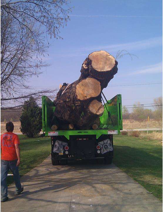 Russs Tree Service | 13964 Janesville Rd, Muskego, WI 53150, USA | Phone: (414) 422-9298