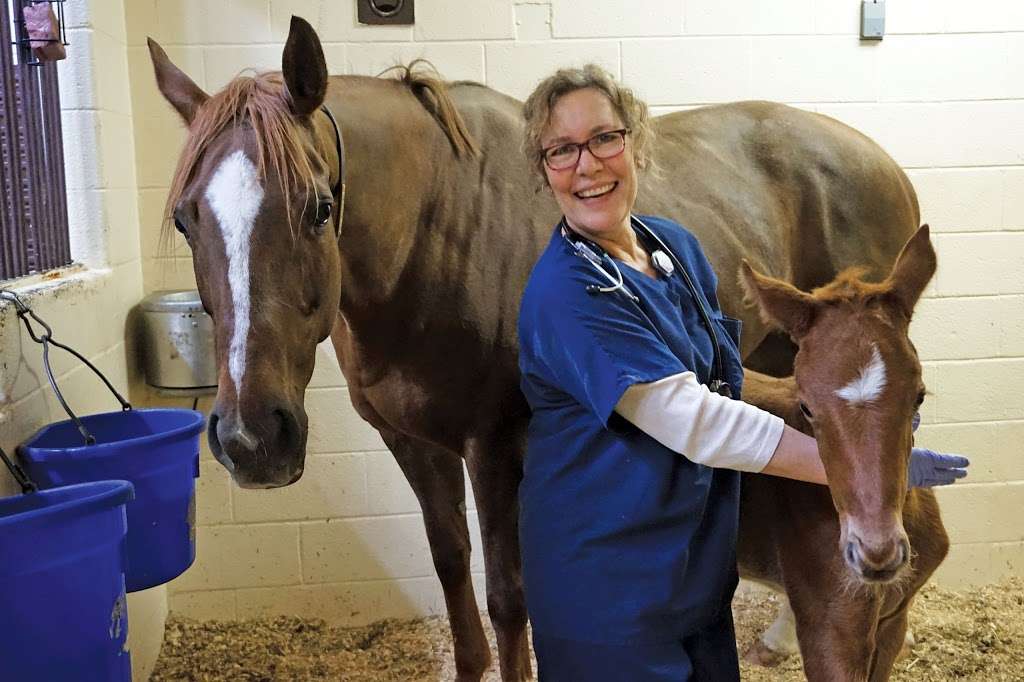 Marion duPont Scott Equine Medical Center | 17690 Old Waterford Rd, Leesburg, VA 20176, USA | Phone: (703) 771-6800