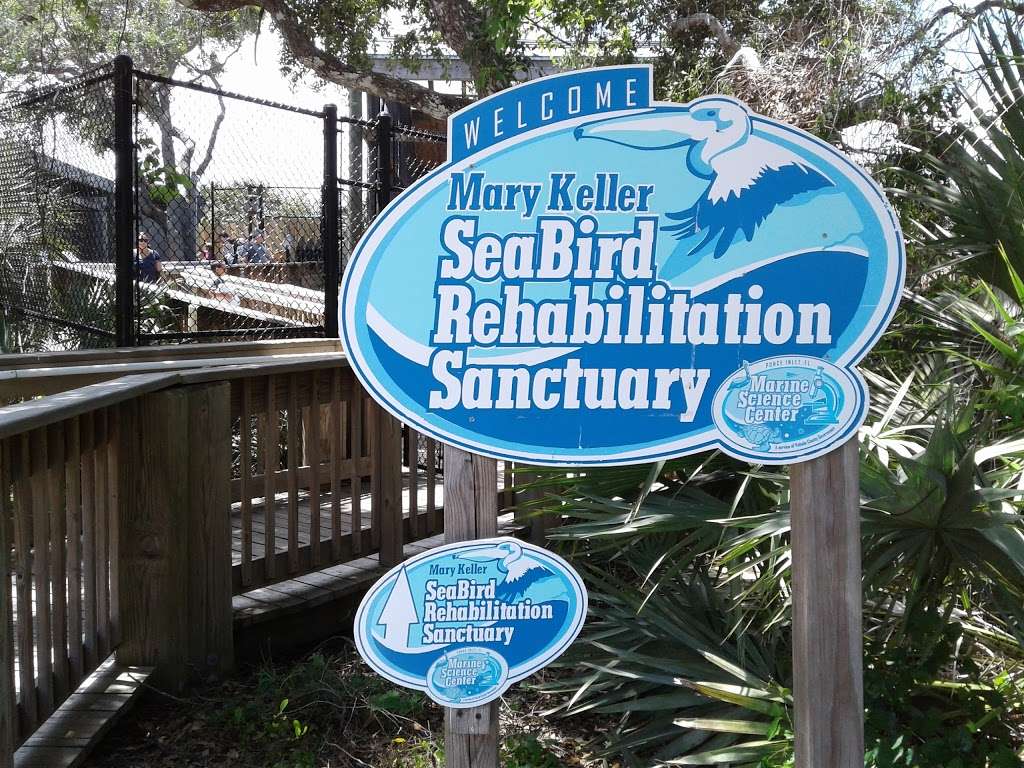 Marine Science Center | Ponce Inlet, FL 32127, USA