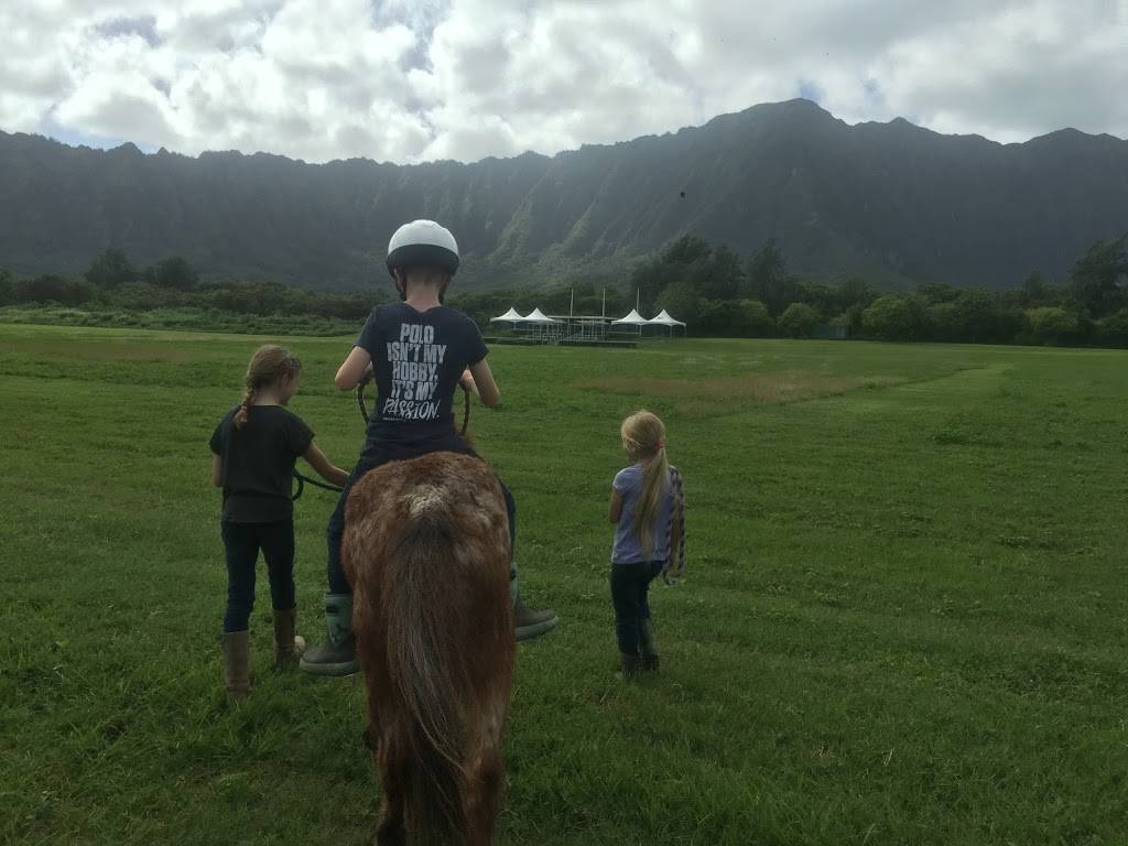 Hawaii Polo Lessons | 41-1062 Kalanianaʻole Hwy, Waimanalo, HI 96795, USA | Phone: (808) 421-9874