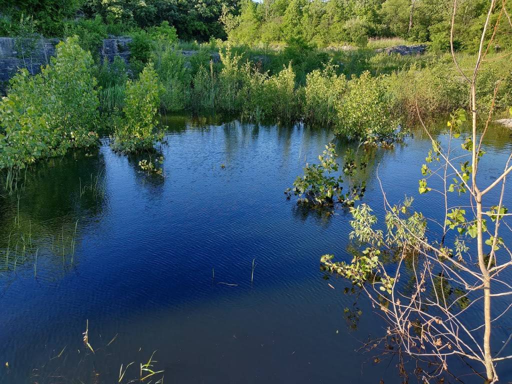 Sawyer Quarry Nature Preserve | 26940 Lime City Rd, Perrysburg, OH 43551, USA | Phone: (419) 353-1897