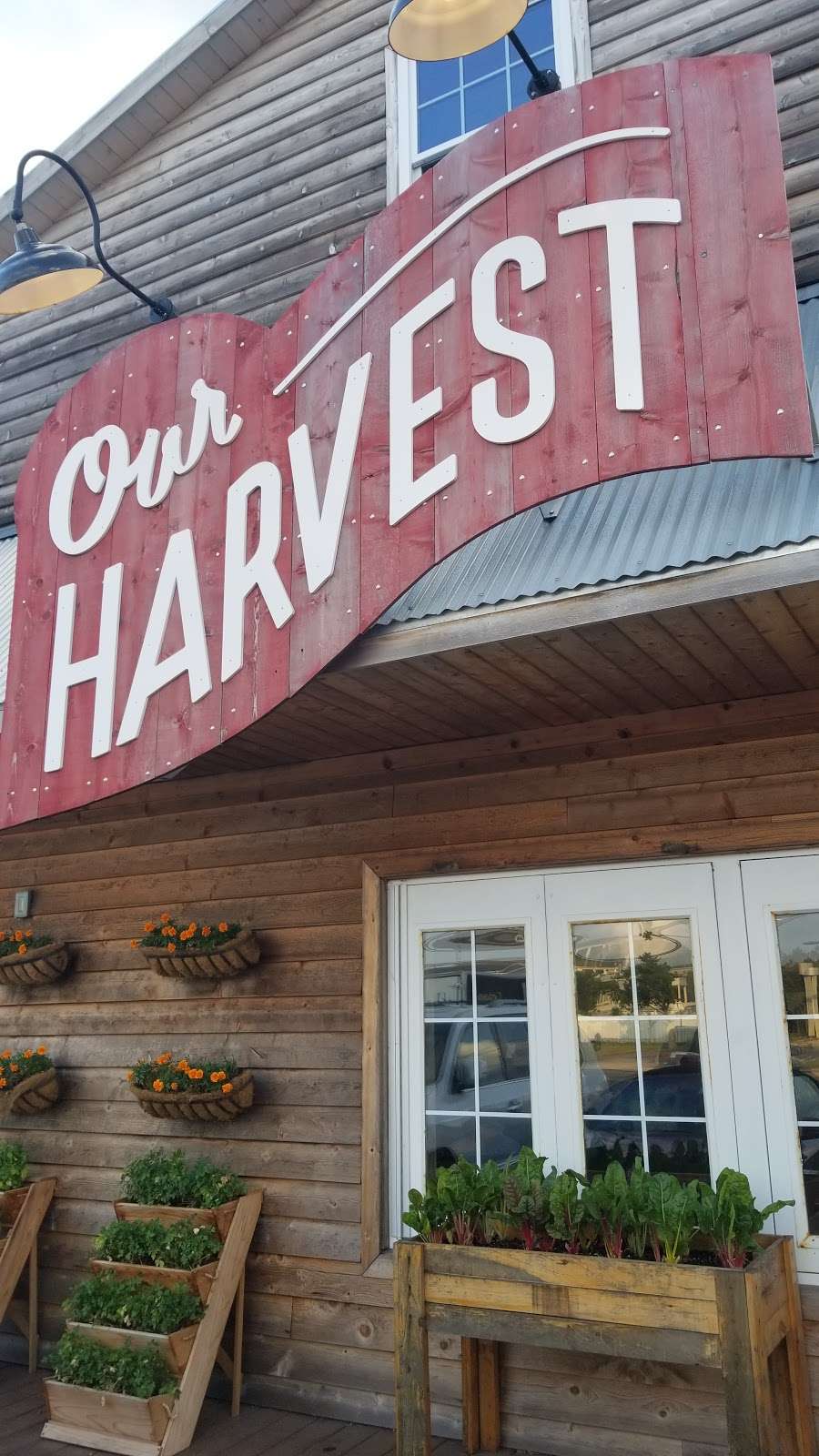 Our Harvest | 1106 Coastal Hwy, Fenwick Island, DE 19944, USA | Phone: (302) 581-0377