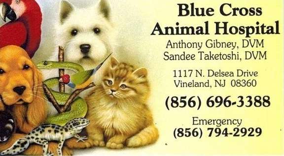 Blue Cross Animal Hospital - Sandee Taketoshi DVM | 1117 N Delsea Dr, Vineland, NJ 08360, USA | Phone: (856) 696-3388