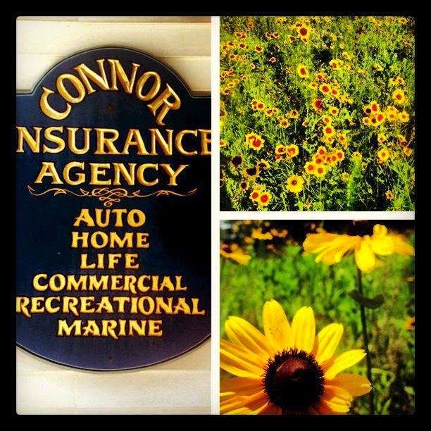 Connor Insurance Agency | 4145 Slanting Bridge Rd, Sherrills Ford, NC 28673, USA | Phone: (828) 478-3743