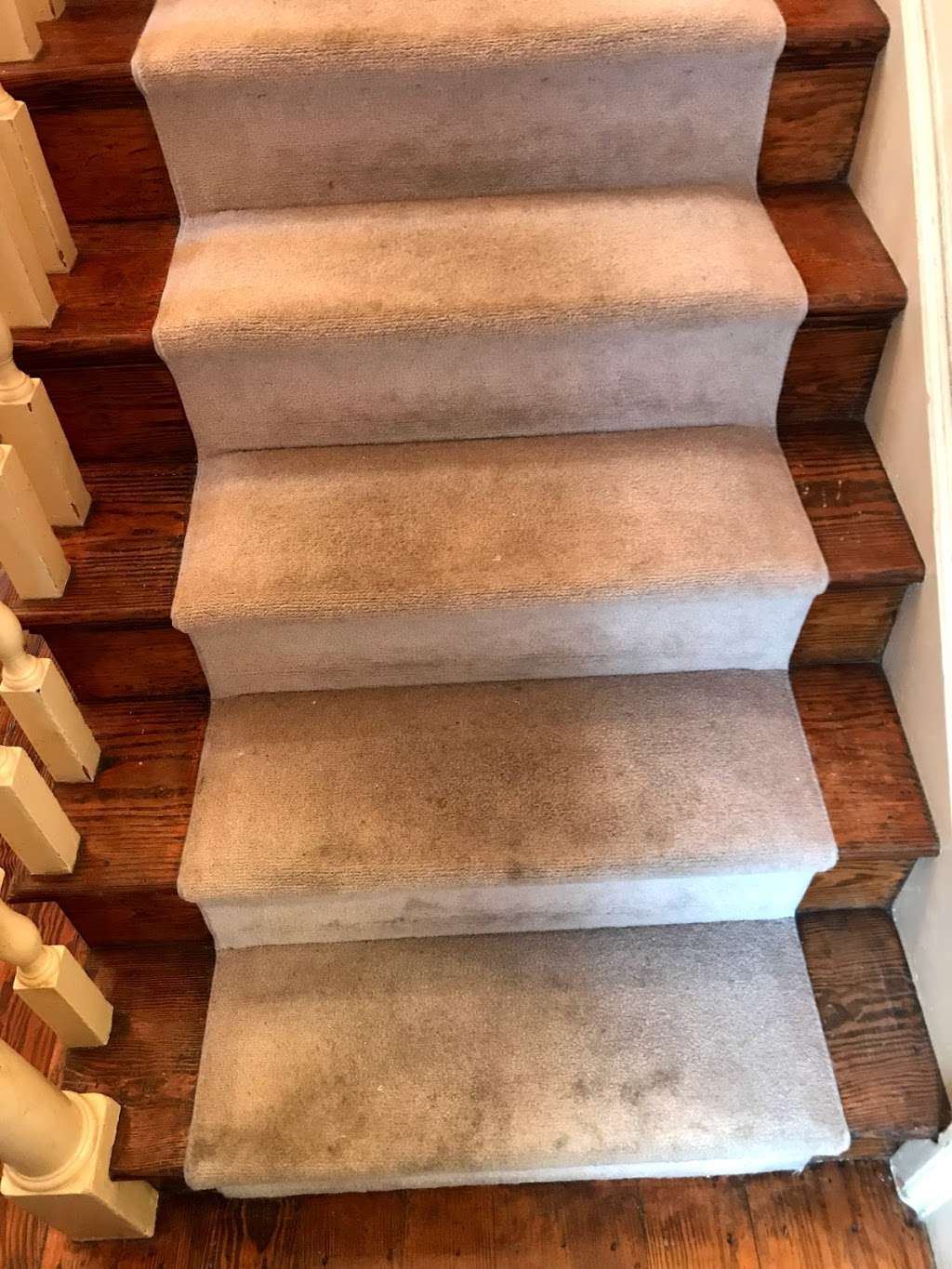 Unique Steam Clean | 1407 Dogwood Cir, Blue Bell, PA 19422, USA | Phone: (484) 868-2621