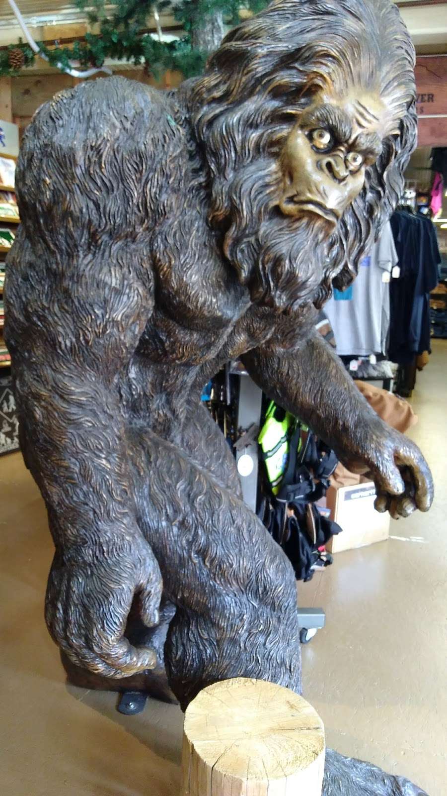 Sasquatch Outpost | 149 Main St, Bailey, CO 80421, USA | Phone: (303) 816-9383