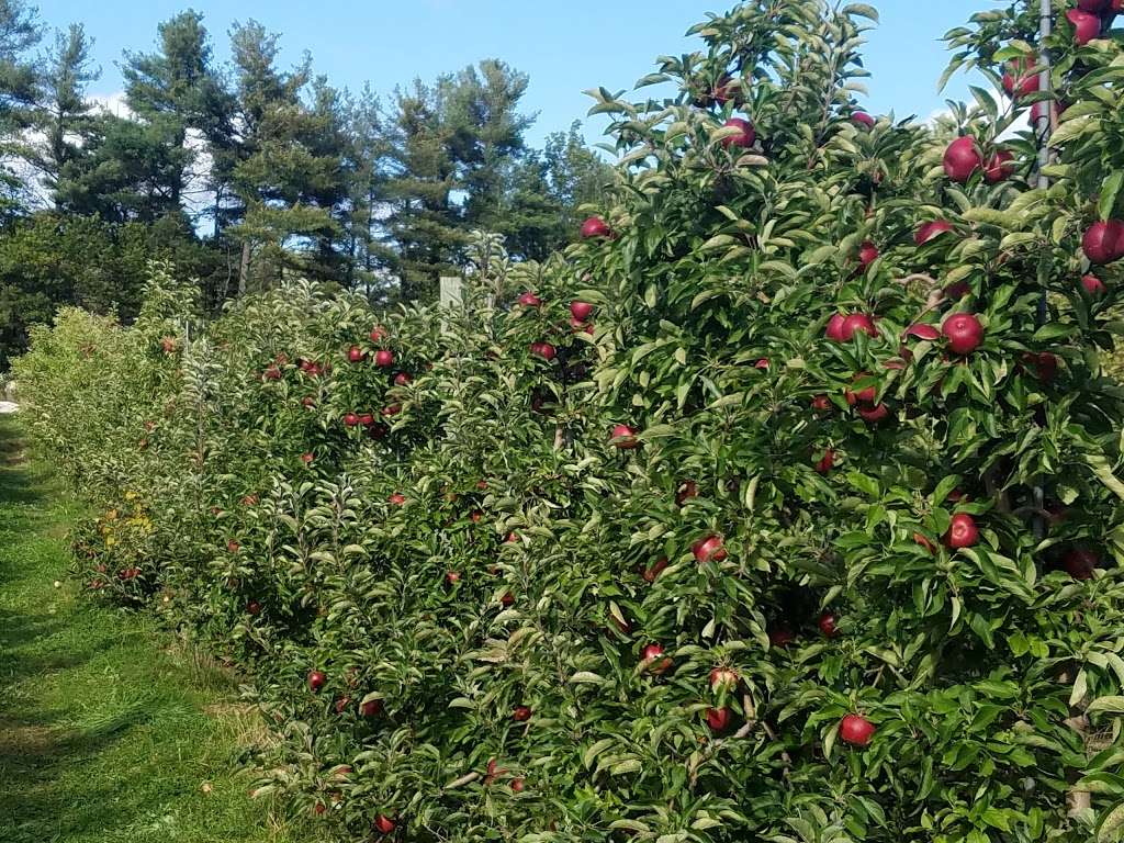 Carlson Orchards, Inc | 115 Oak Hill Rd, Harvard, MA 01451, USA | Phone: (978) 456-3916