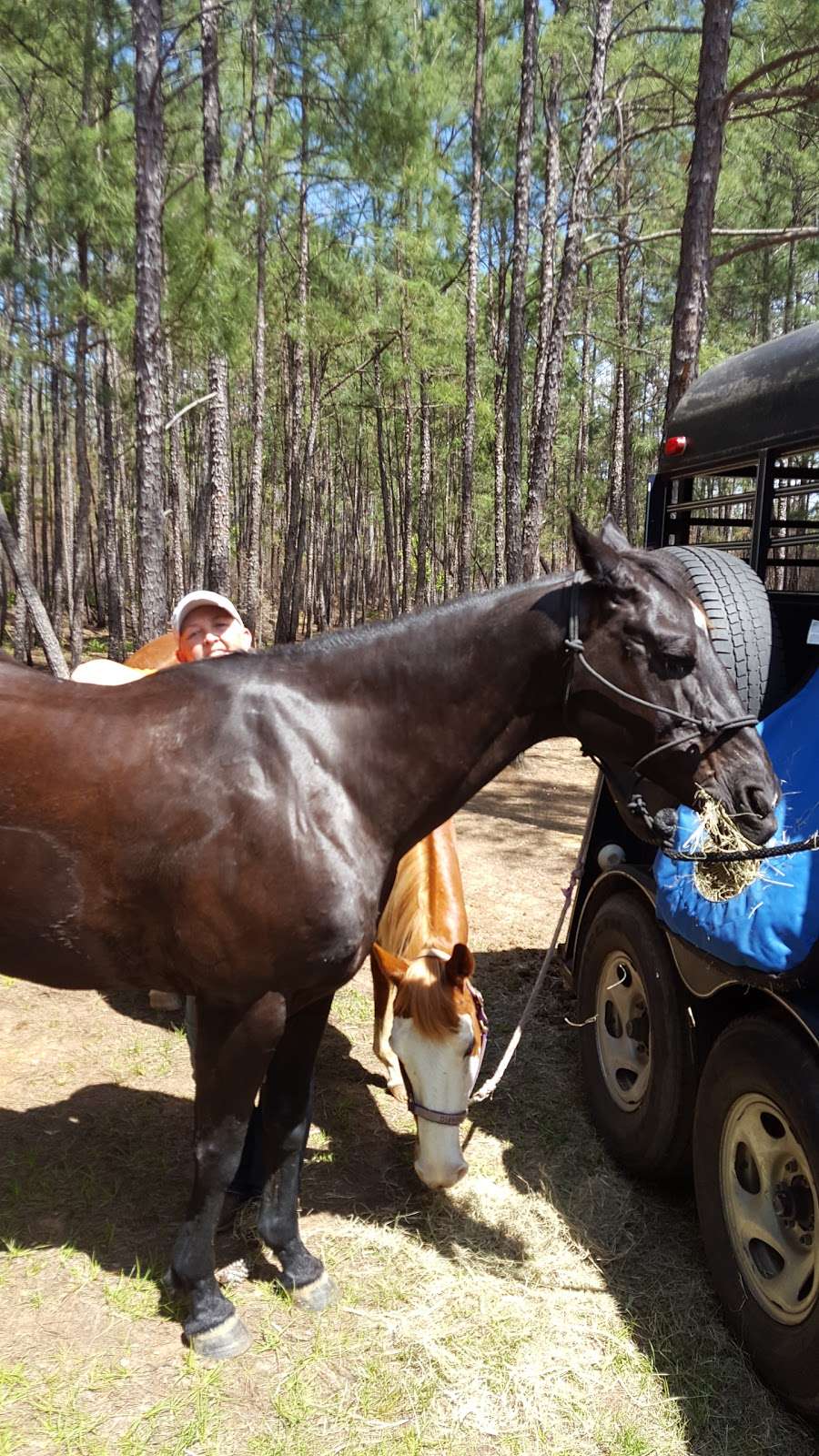 Hunters camp - Sam Houston National Forest | Cleveland, TX 77328