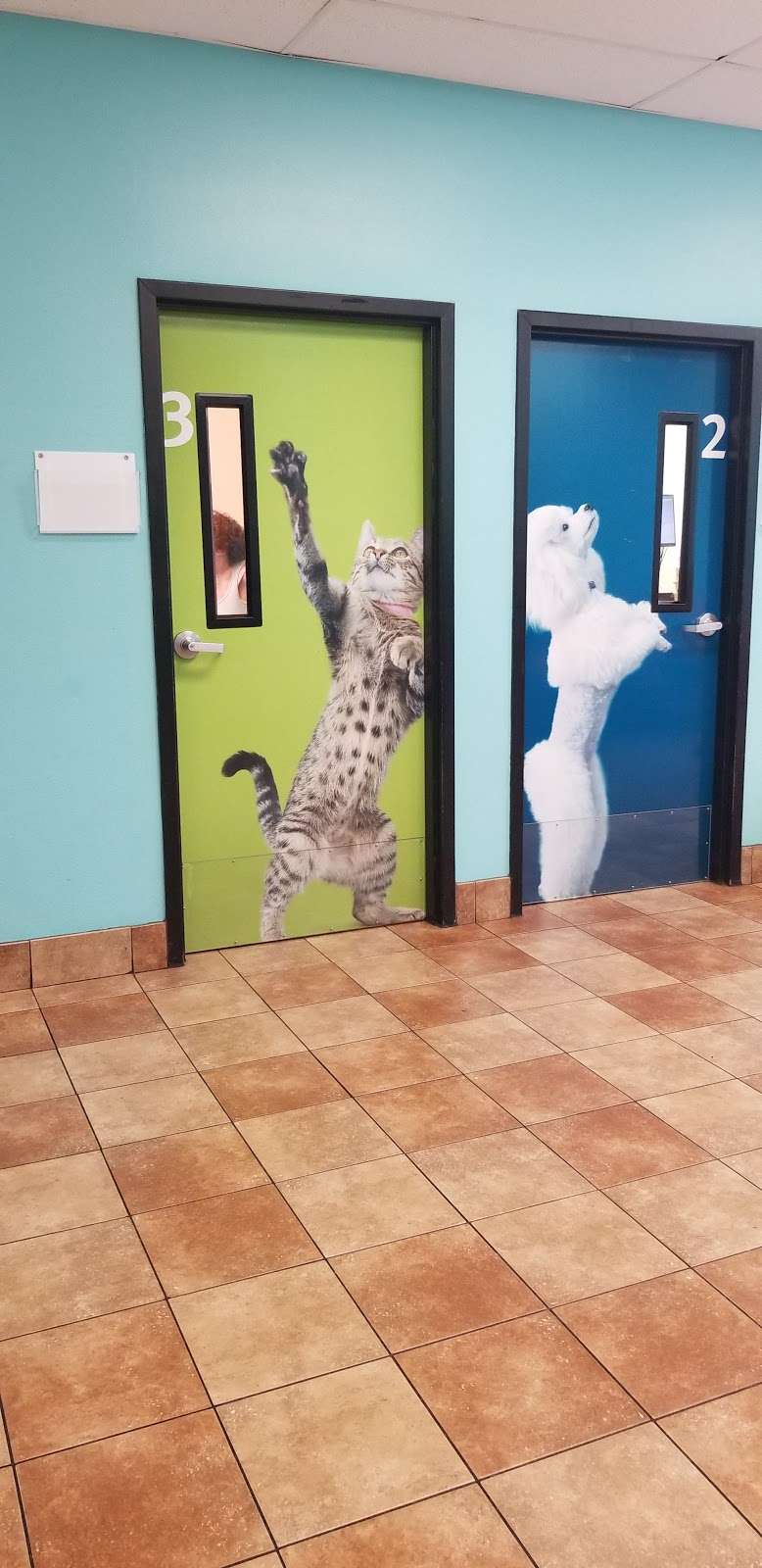 Banfield Pet Hospital | 12051 W Sunrise Blvd, Plantation, FL 33323, USA | Phone: (954) 915-8290