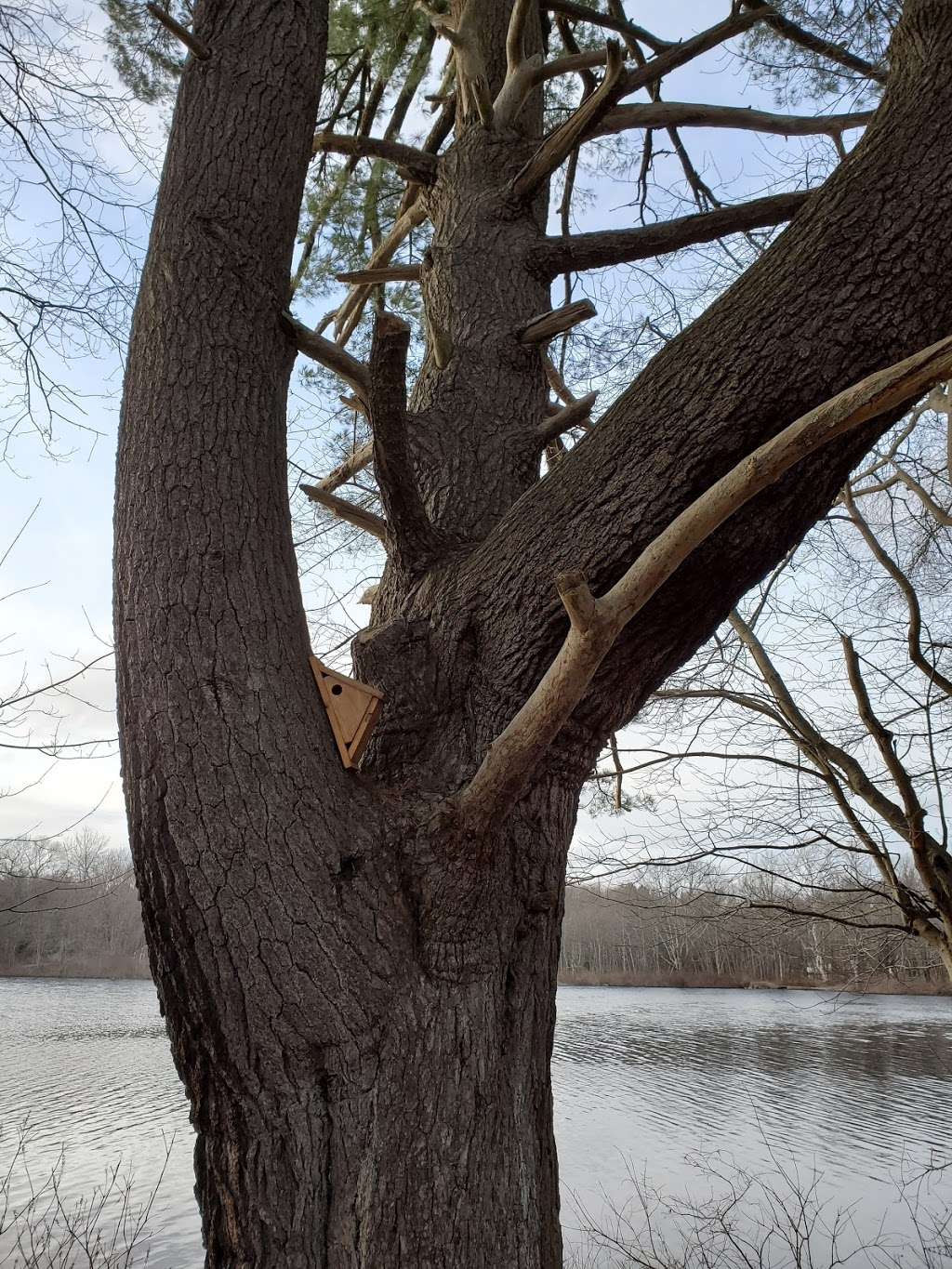 Carvers Pond | Summer St, Bridgewater, MA 02324, USA