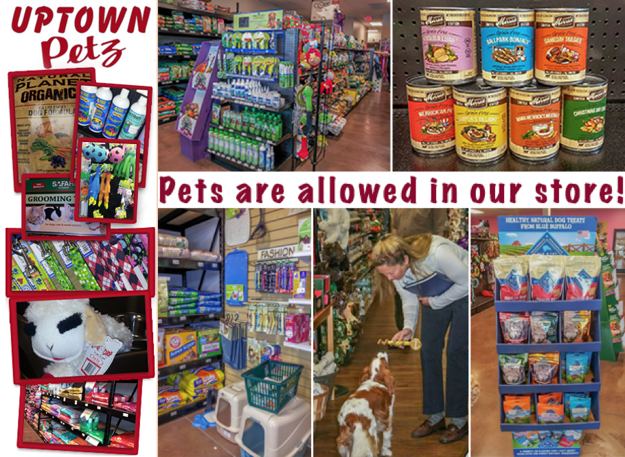 Uptown Petz | 2351 Oregon Pike, Lancaster, PA 17601 | Phone: (717) 945-7505