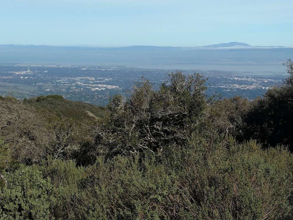 Black Mountain Top Radio Tower | Los Altos, CA 94024, USA
