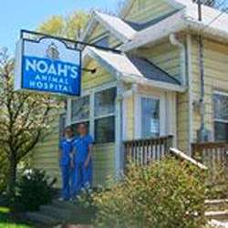 Noahs Animal Clinic at Carmel | 3309 E 146th St, Carmel, IN 46033, USA | Phone: (317) 818-8554