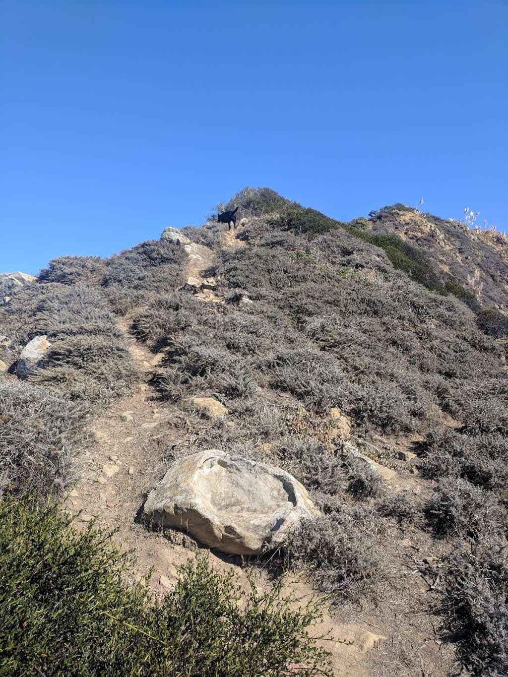 Pedro Point Headlands | Old Pacific Coast Highway Trail, Pacifica, CA 94044, USA | Phone: (650) 270-0433