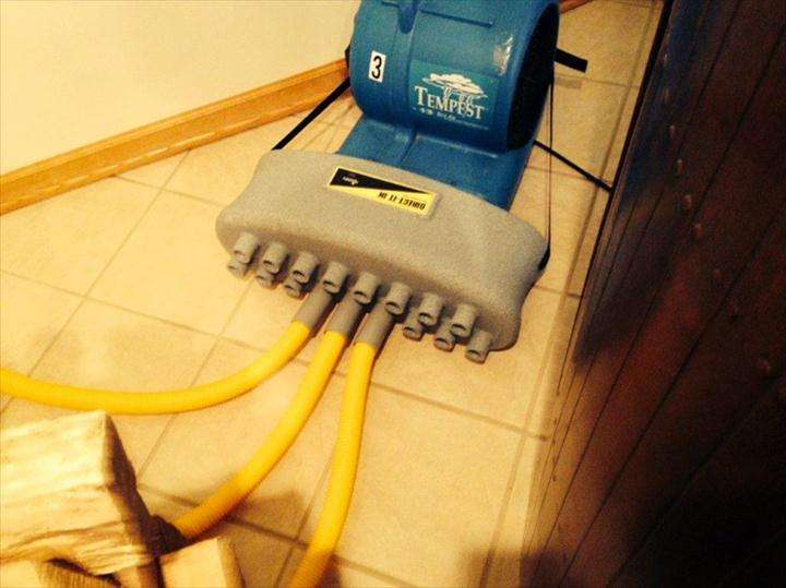 Steam Force Carpet Cleaning | 4015 Roberts Road Ste. A, Island Lake, IL 60042, USA | Phone: (847) 487-4812