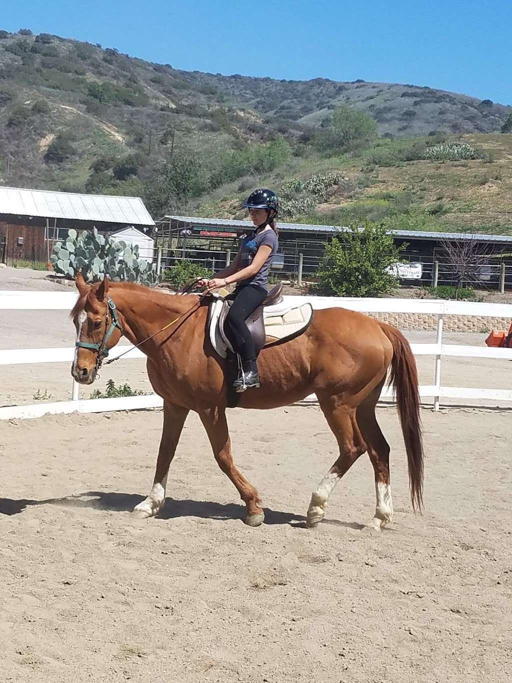 Fun With Horses | 449 Carbon Canyon Rd, Brea, CA 92328, USA | Phone: (949) 285-5286