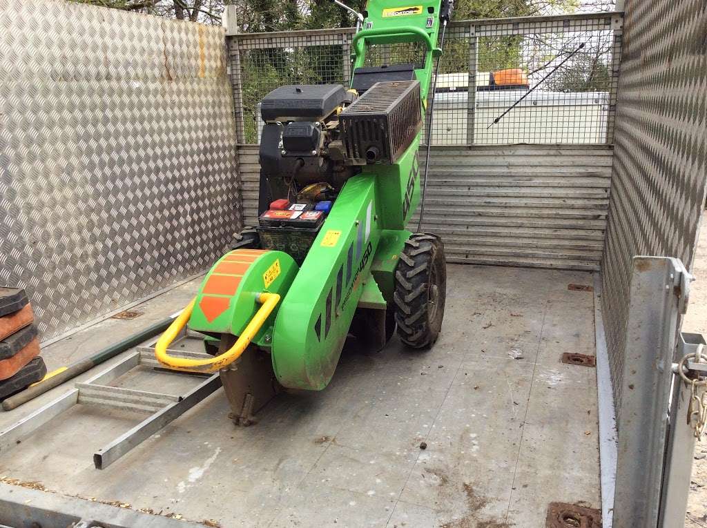 Stump remover | 40 Coronation Rd, East Grinstead RH19 4AL, UK | Phone: 07714 728044