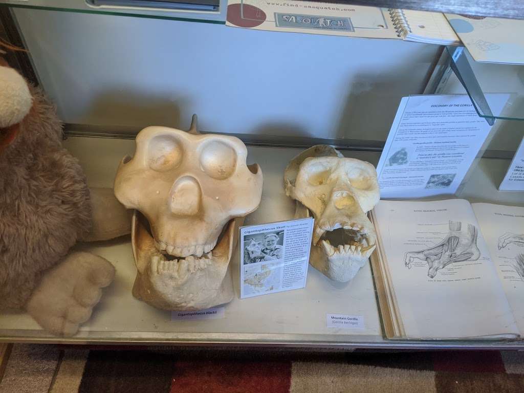 Bigfoot Discovery Museum | 5497 Hwy 9, Felton, CA 95018 | Phone: (831) 335-4478