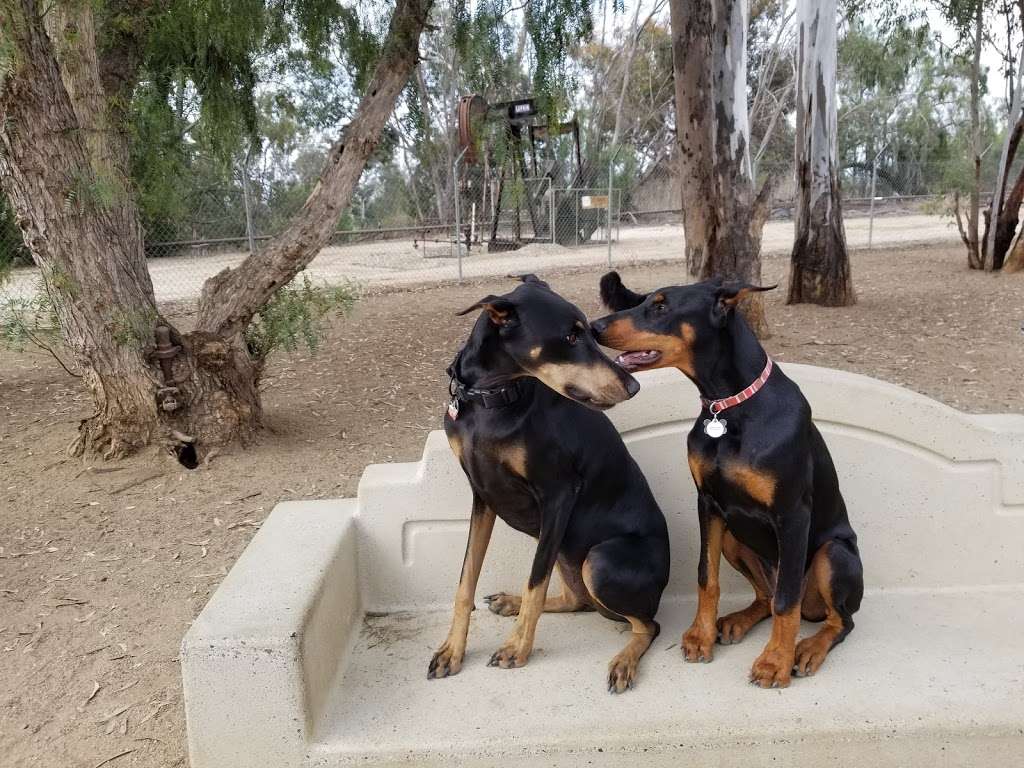 Wildcatters Dog Park | 3450 E Santa Fe Rd, Brea, CA 92821, USA | Phone: (714) 990-7100