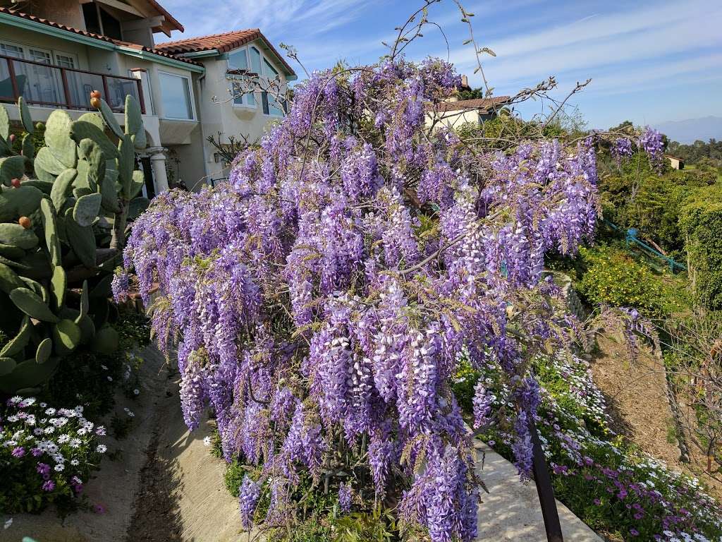 Frog Pond Park | Palos Verdes Dr E, Rancho Palos Verdes, CA 90275, USA