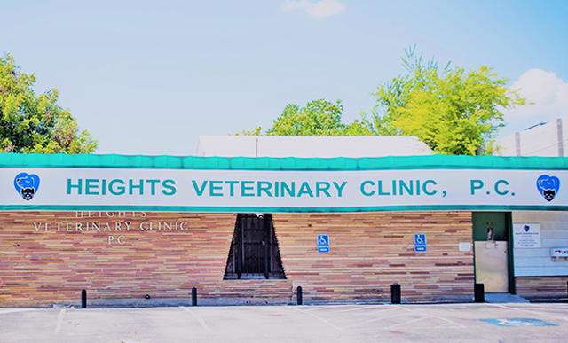 Heights Veterinary Clinic | 1431 N Shepherd Dr, Houston, TX 77008 | Phone: (713) 869-6644