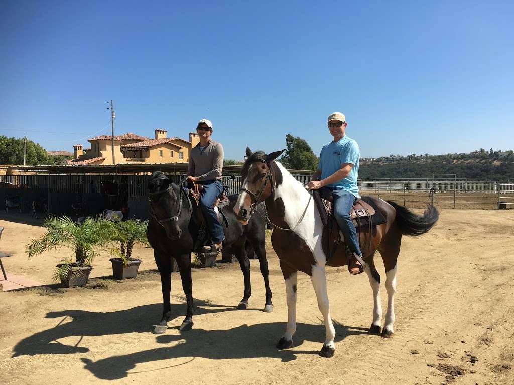 South Coast Equestrian | 5275 Del Mar Mesa Rd, San Diego, CA 92130, USA | Phone: (858) 442-2569