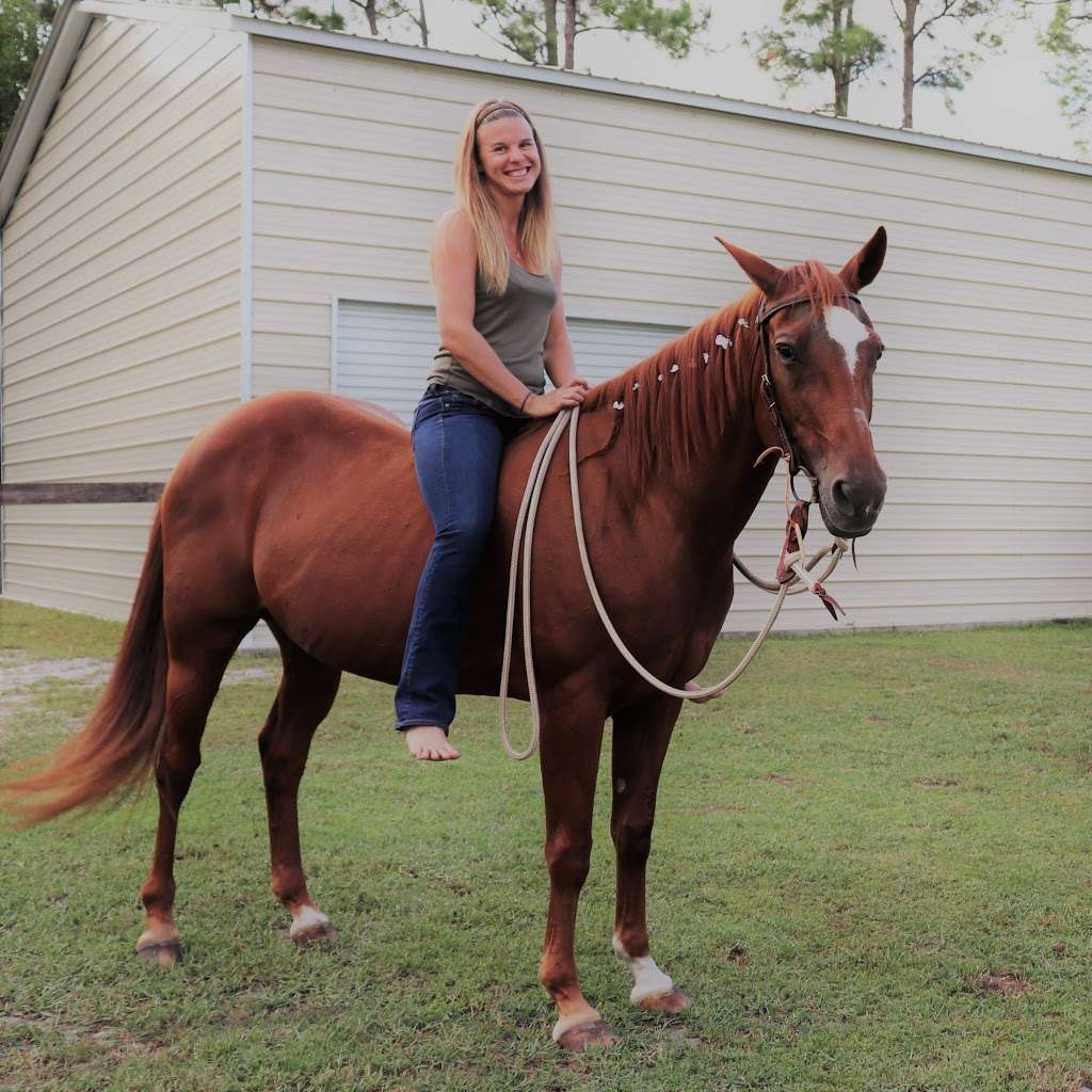 All In Horsemanship, LLC | 12550 170th Rd N, Jupiter, FL 33478, USA | Phone: (561) 427-9751