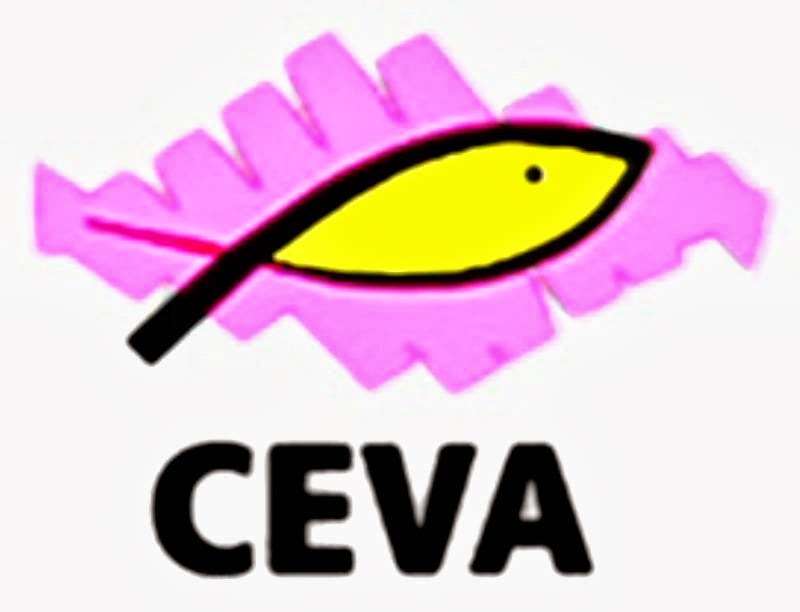 C.E.V.A (Comunidad-Evangelica-Vida-Abundante) | 489 West Ave, Elmhurst, IL 60126, USA | Phone: (708) 544-5218