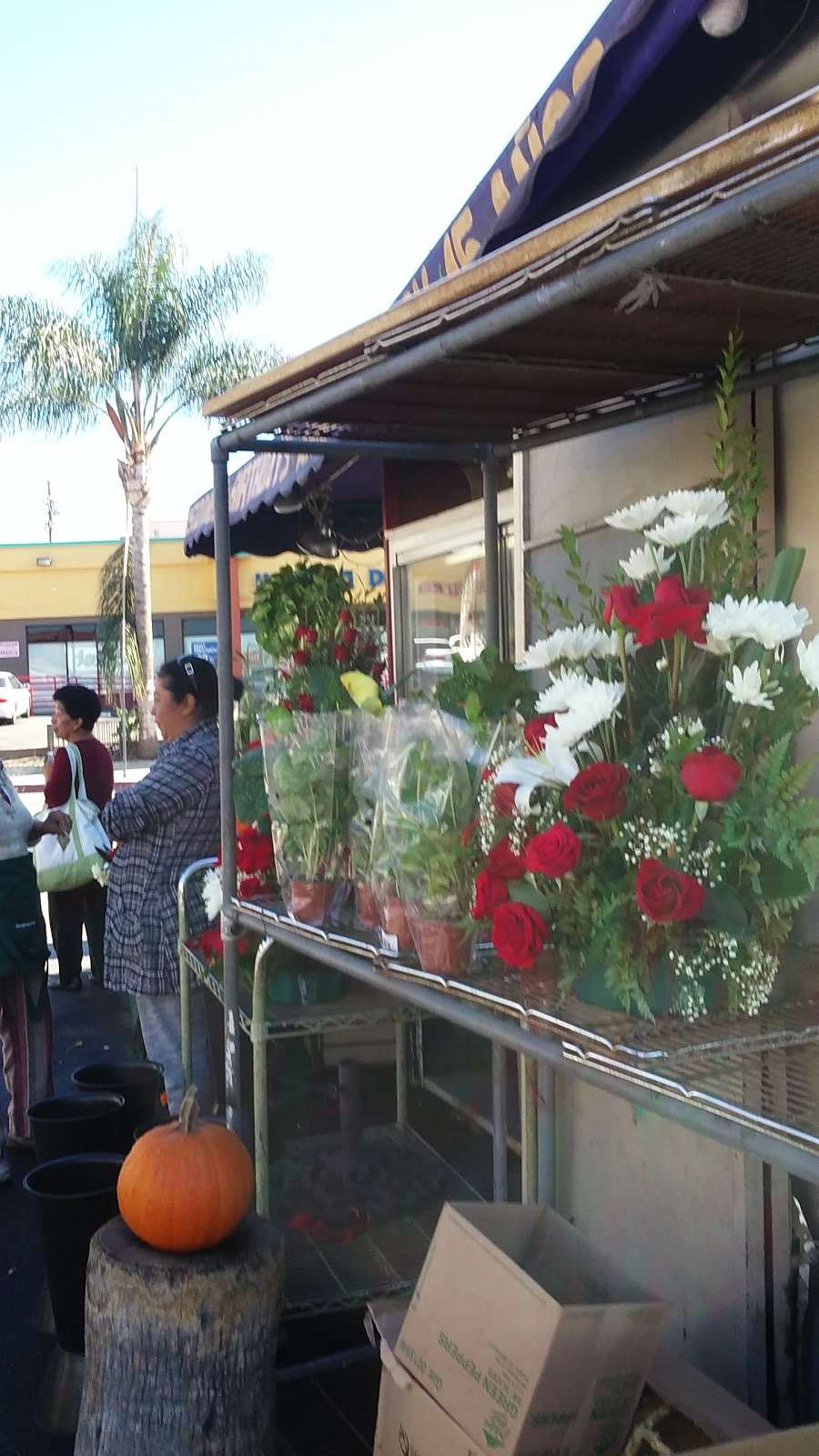 LA Quick Flowers | 4215 Beverly Blvd, Los Angeles, CA 90004 | Phone: (323) 303-4438