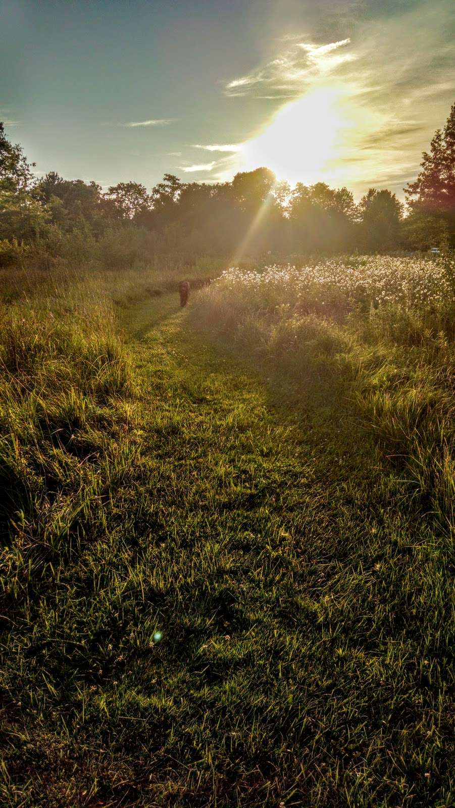 Jennifer Schweitzer Park | Pipersville, PA 18947, USA