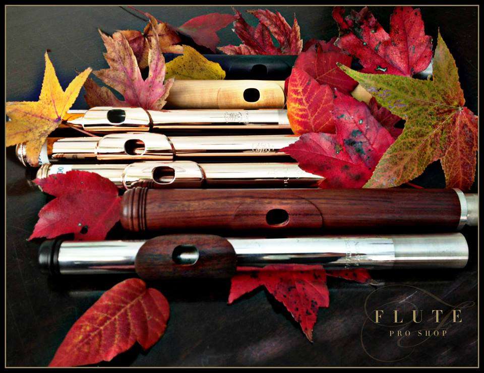 Flute Pro Shop Inc. | 4023 Kennett Pike #308, Wilmington, DE 19807 | Phone: (302) 479-5000