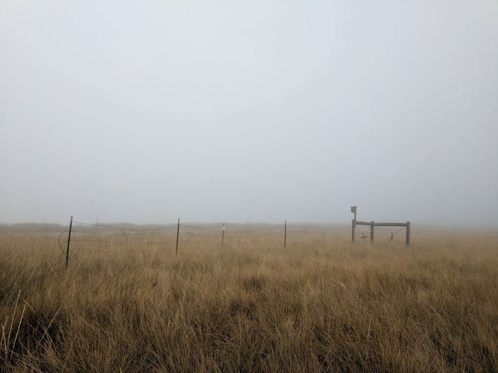 Little Gaynor Lake | Longmont, CO 80504, USA