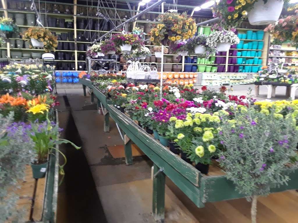 Alsip Home & Nursery | 20601 South La Grange Road, Frankfort, IL 60423 | Phone: (815) 469-1044