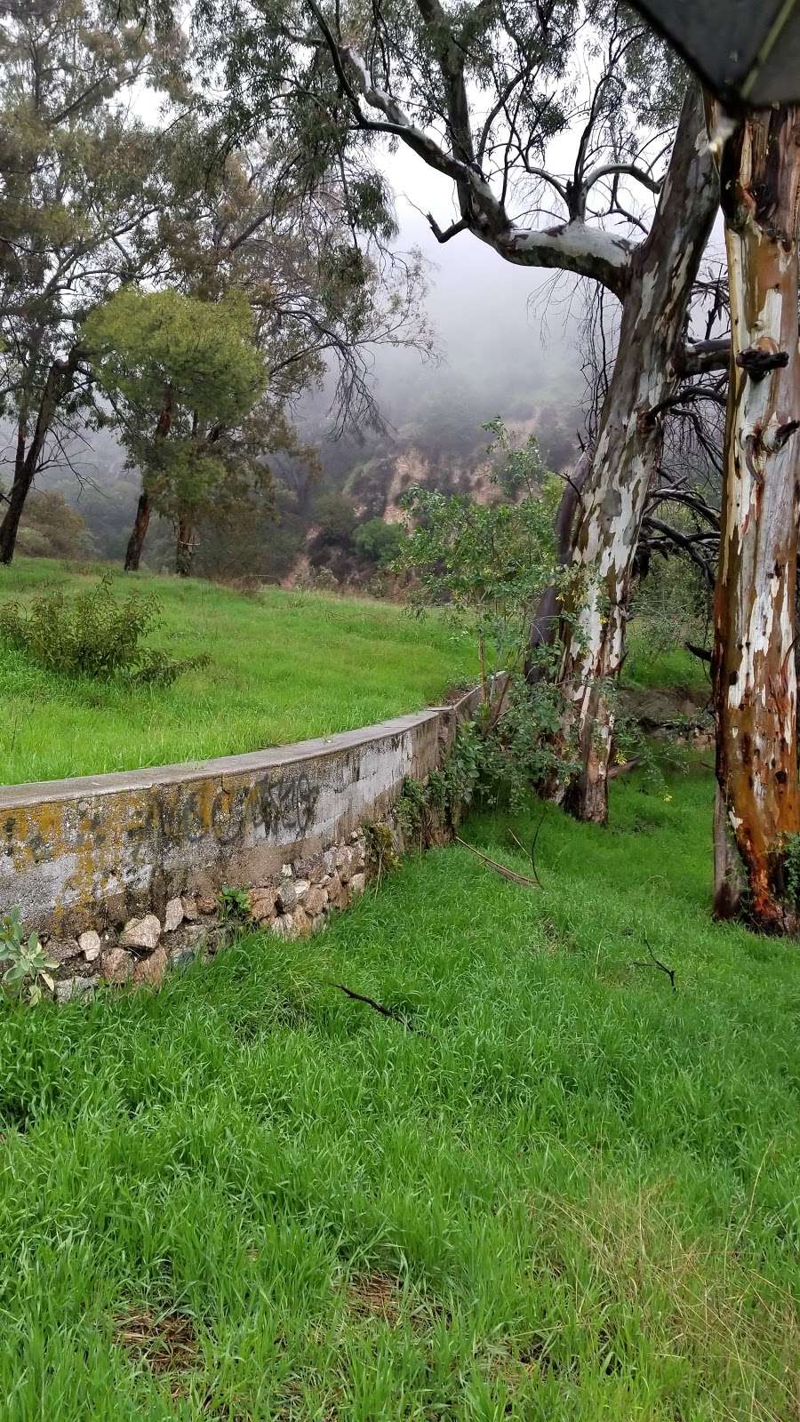 Cobb Estate Hike | 3302 Lake Ave, Altadena, CA 91001, USA