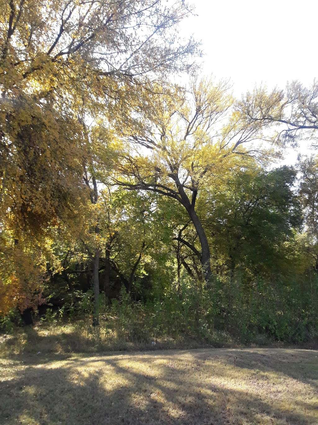 Fish Creek Preserve | Fish Creek Preserve Trail, Grand Prairie, TX 75052, USA