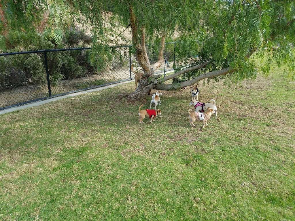 Torrey Hills Dog Park | 4645 Carmel Mountain Rd, San Diego, CA 92130