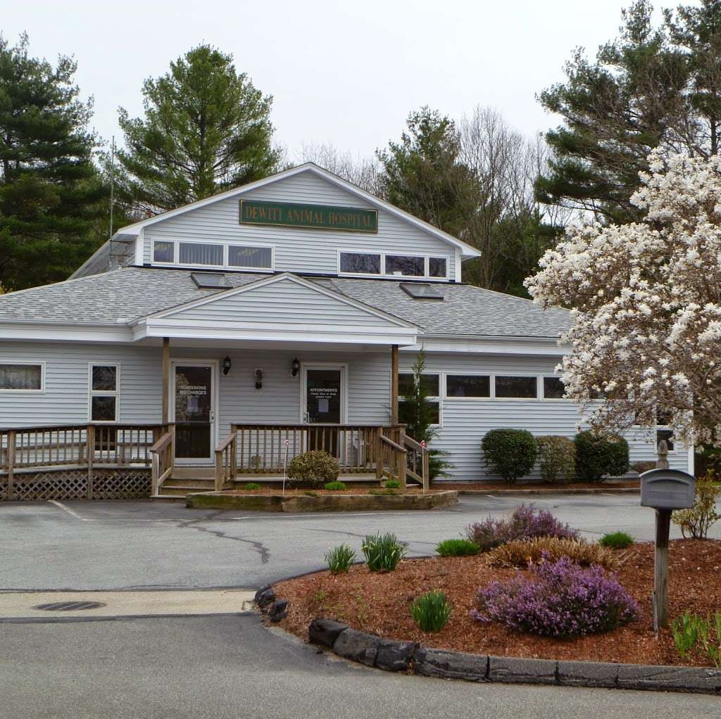 DeWitt Animal Hospital | 145 Washington St, Plainville, MA 02762 | Phone: (508) 695-0261