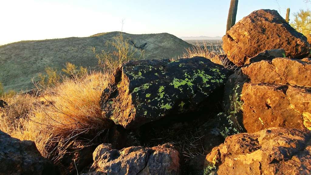 Thunderbird conservation Park | Cholla Loop, Glendale, AZ 85310, USA