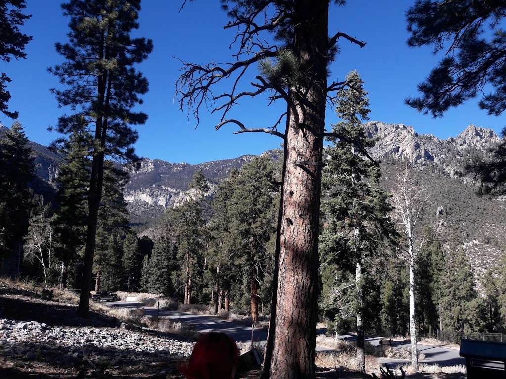 Cathedral Rock Trailhead | Cathedral Picnic Area, Mt Charleston, NV 89124