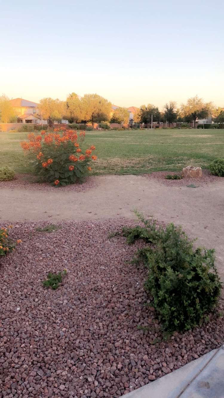 Sierra Ranch Community Park SE | North Las Vegas, NV 89031