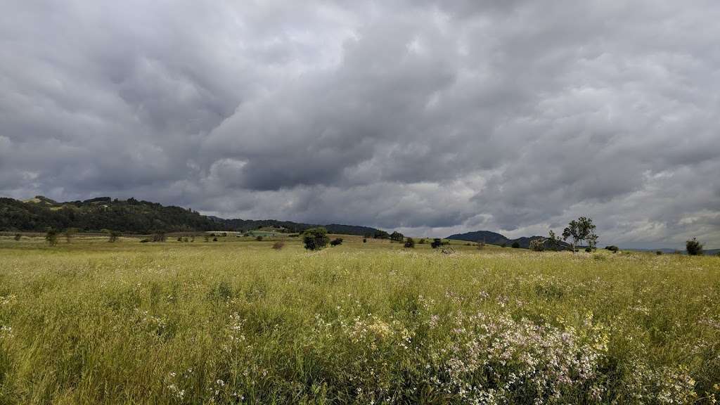 Alston Park Off-Leash Dog Area | Dry Creek Rd, Napa, CA 94558, USA