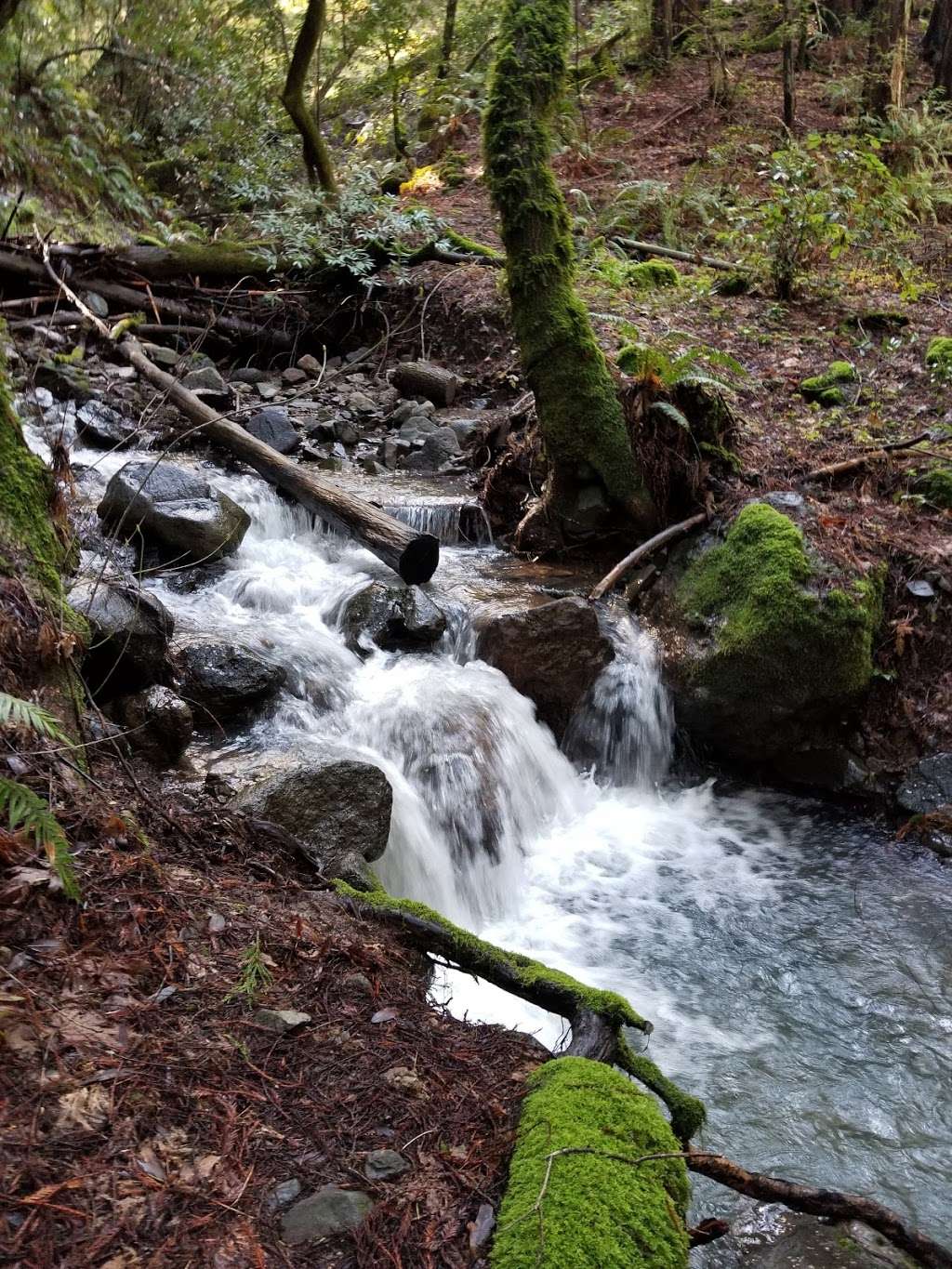 Upper Lake Trail Jack London Park | Lake Service Rd, Glen Ellen, CA 95442, USA