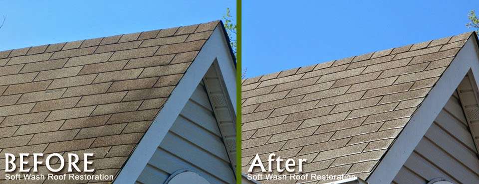 Soft Wash Roof Restoration | 2520 Stoneybrook Ln, Drexel Hill, PA 19026, USA | Phone: (484) 680-5908