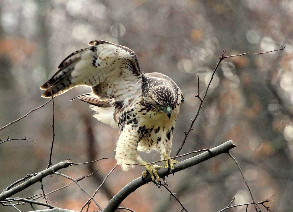 Poricy Park Fossil Beds | 1083 Middletown-Lincroft Rd, Middletown, NJ 07748, USA