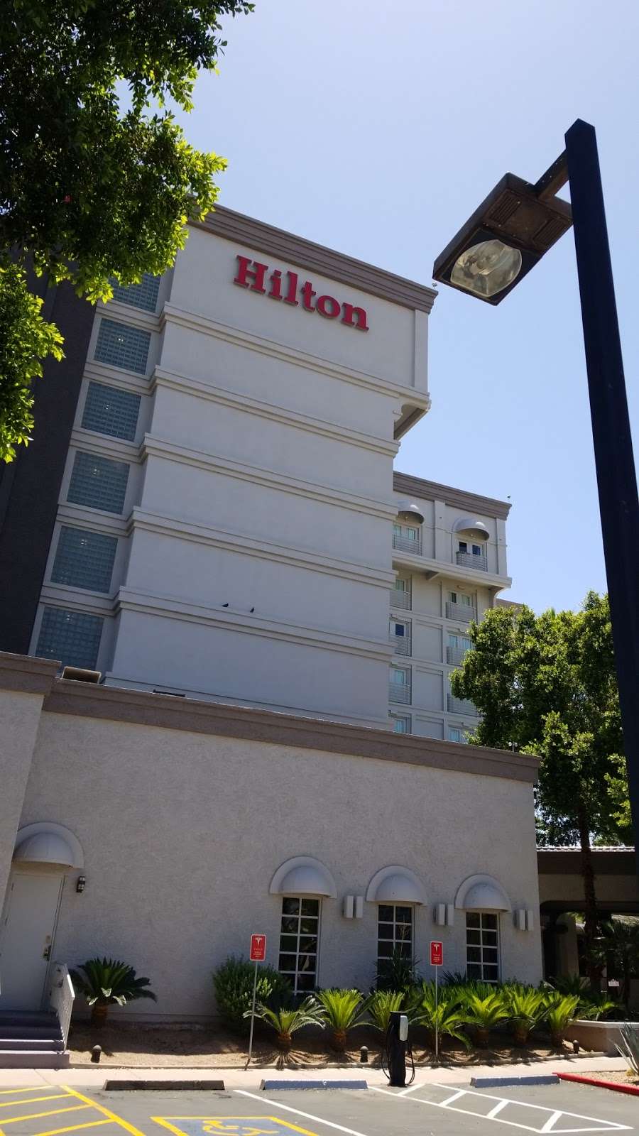 Hilton Phoenix/Mesa | 1011 W Holmes Ave, Mesa, AZ 85210, USA | Phone: (480) 833-5555