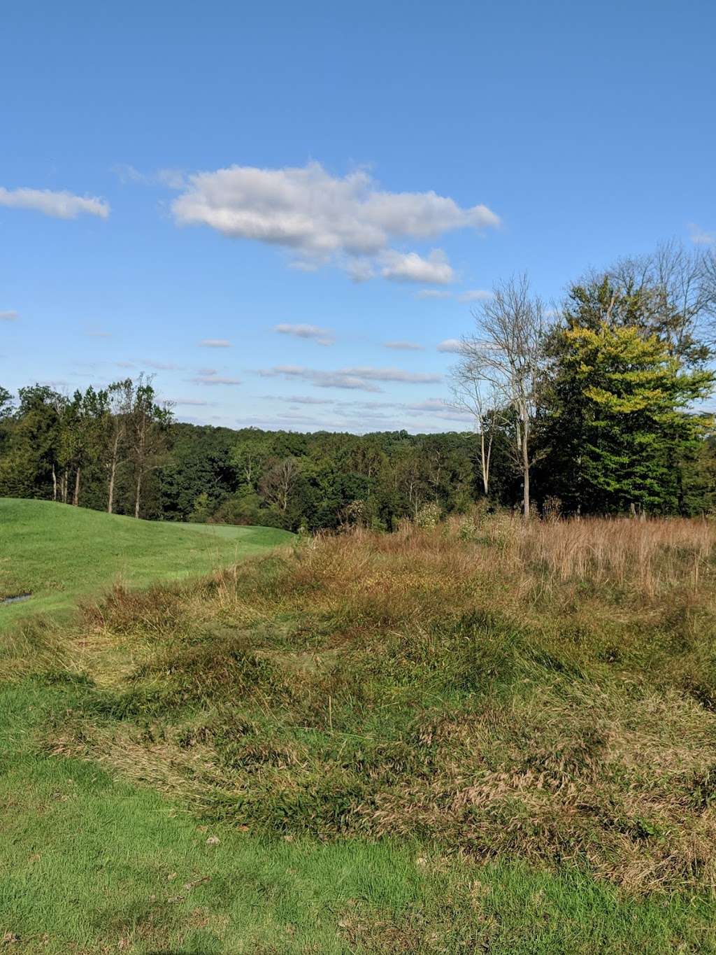 Diamond Ridge Golf Course | 2309 Ridge Rd, Windsor Mill, MD 21244, USA | Phone: (410) 887-1349