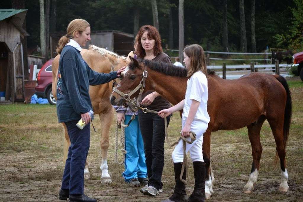 Black Magic Farm | Salty Lane Farm, 24 Lane Rd, Derry, NH 03038, USA | Phone: (603) 770-2494