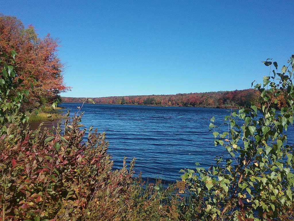 Bradys Pond Trail | Pocono Lake, PA 18347