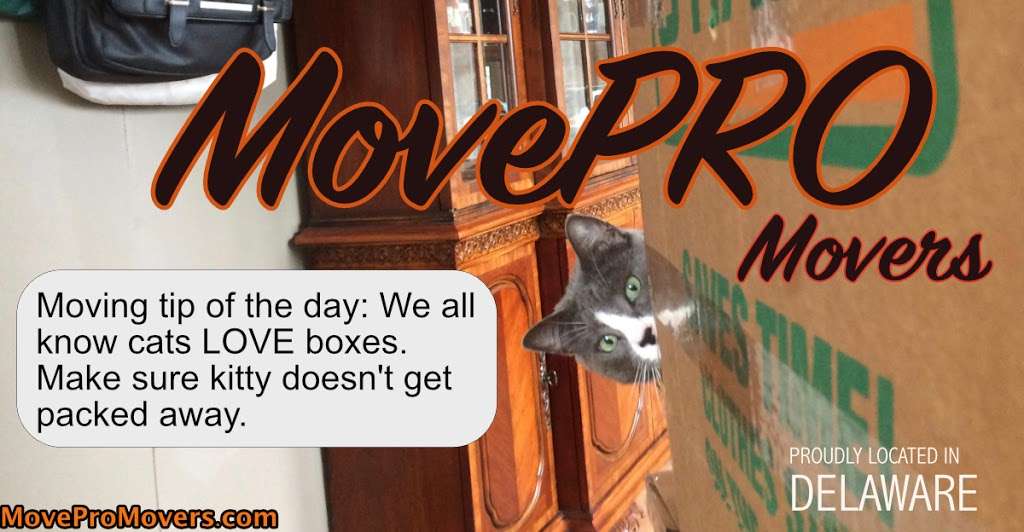 MovePro Movers Delaware | 34112 Dupont Blvd, Frankford, DE 19945, USA | Phone: (302) 260-0494